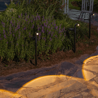 Lampes de Jardin Eclairage Lumière Spot Lumineux Chemin Energie Solaire