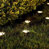 Pattes de Chat Energie Solaire Coussinet Eclairage Lumiere Mignon